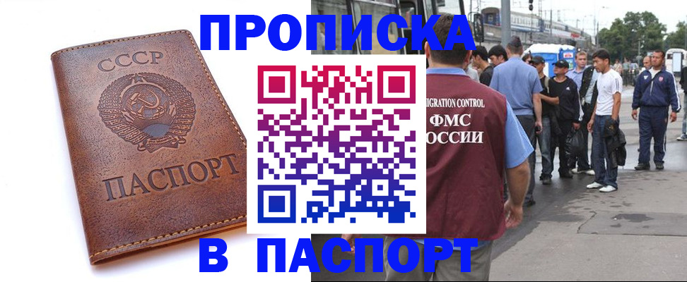 временная регистрация поиск в Камчатской области